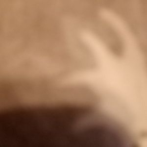 Meet your Posher, Leanne